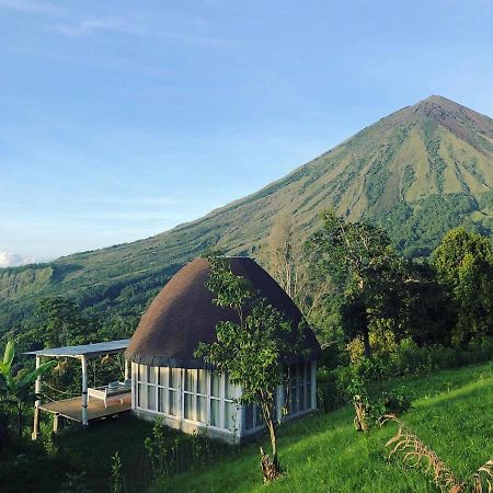 فندق Manulalu Jungle Bajawa المظهر الخارجي الصورة