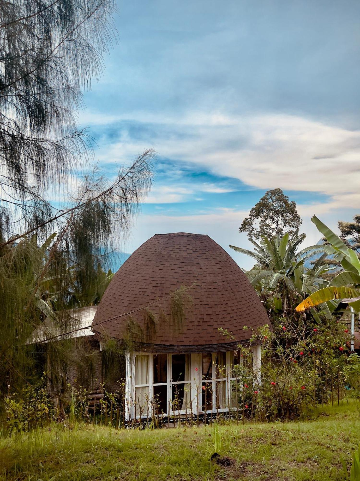 فندق Manulalu Jungle Bajawa المظهر الخارجي الصورة