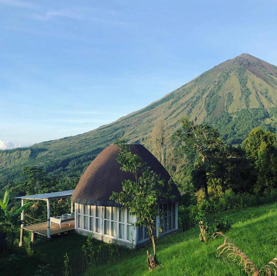 فندق Manulalu Jungle Bajawa المظهر الخارجي الصورة